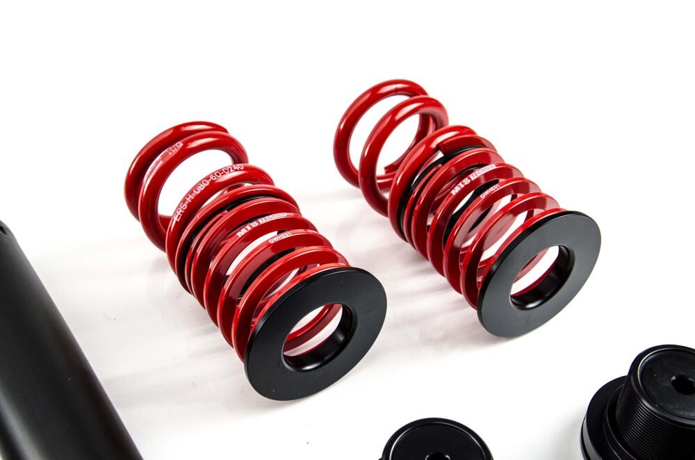 MTS Technik koiloveri Stance Inox with front camber plates + rear top mounts - BMW 3 Compact (E36)
